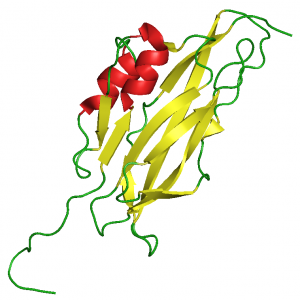 WIF structure