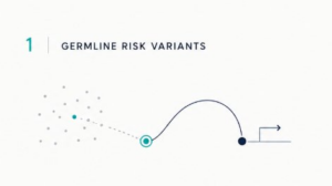 Germline risk variant