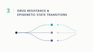 Drug resistance and epigenetic state transitions