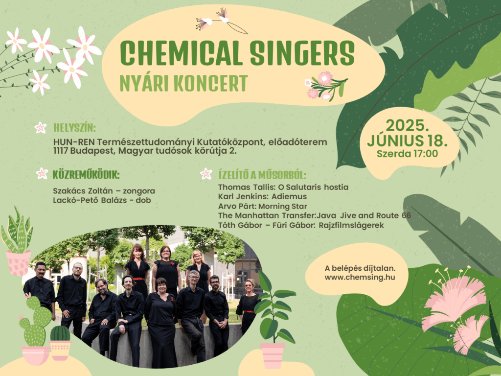 Chemical Singers nyári koncert 2025