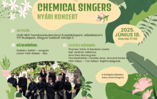 Chemical Singers nyári koncert 2025